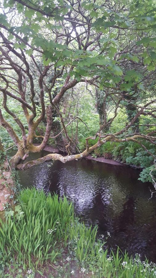 Hotel Dingle Way Glamping Anascaul Esterno foto